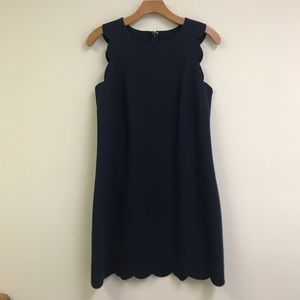 J Crew Factory scalloped shift dress in navy
